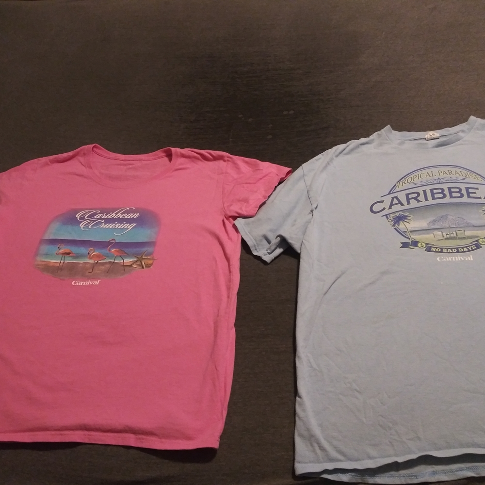 Lot 2 Carnival Cruise Caribbean Flamingos TShirt Glitter Pink XL 2xl No Bad Days
